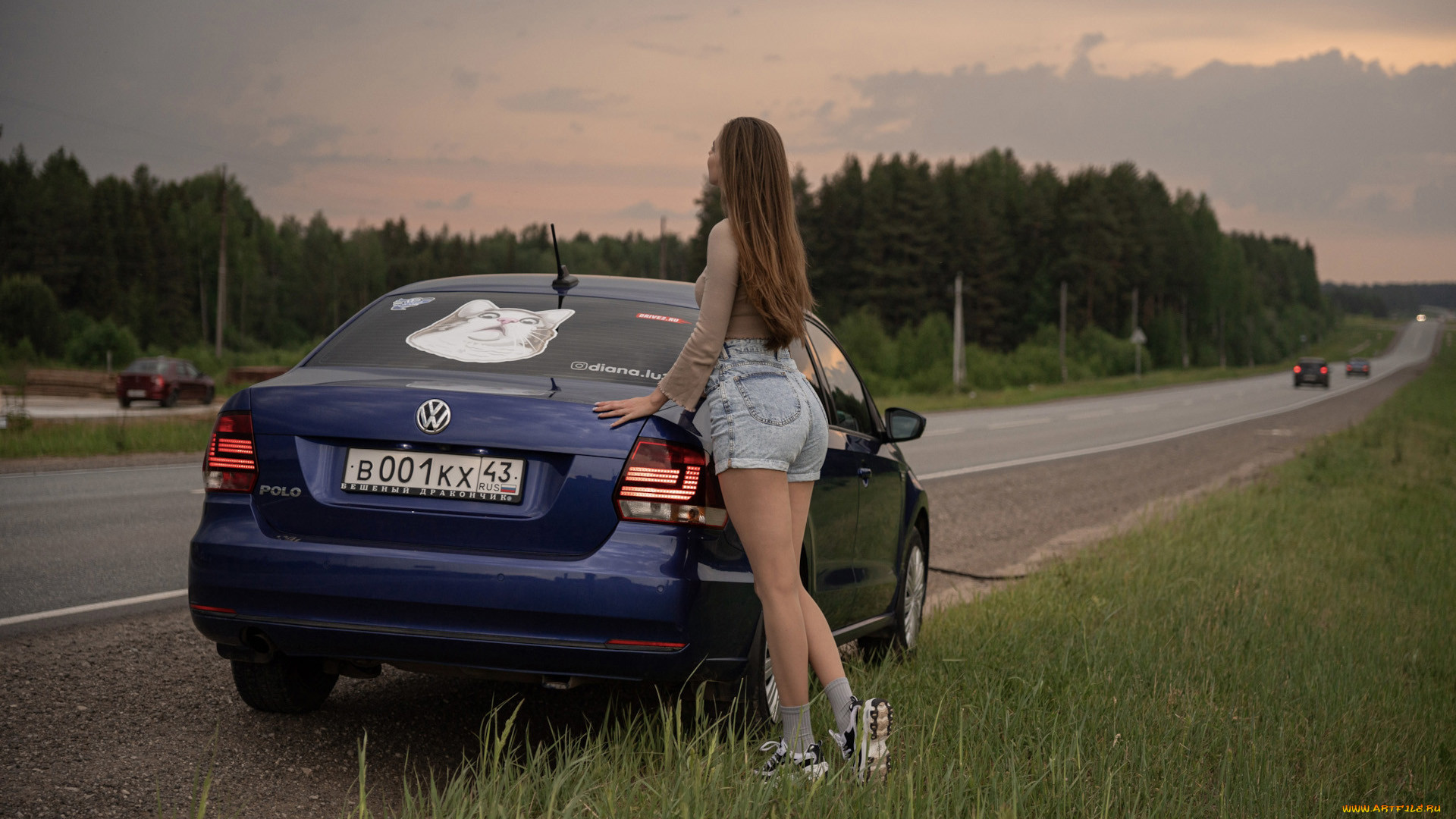 , -  , volkswagen, polo